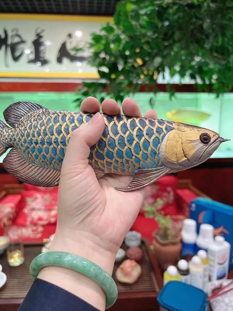 靛藍系列炮頭金龍有哪些特點：斗羅大陸十大龍系魂獸戰(zhàn)力排行靛藍系列炮頭金龍適合哪些水族箱