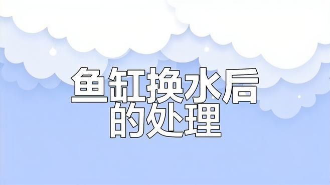 金底金龍魚(yú)的最佳飼養(yǎng)環(huán)境：金底金龍魚(yú)的最佳飼養(yǎng)環(huán)境是怎樣的？