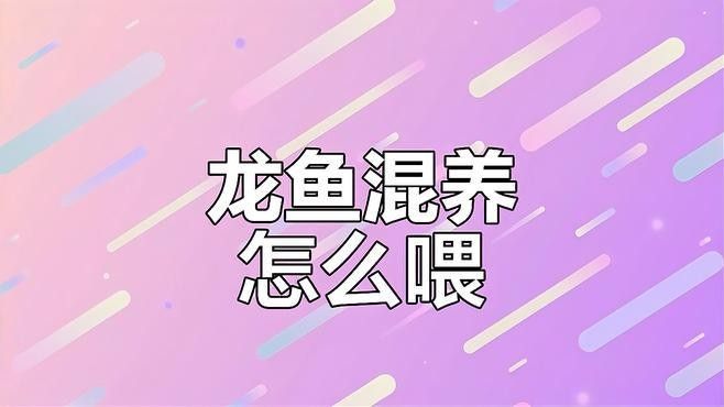 雙線魚和龍魚混養需要喂什么食物：雙線魚與龍魚混養時需兼顧兩者的食性特點以下為喂食建議