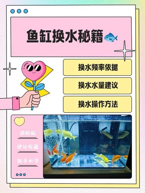 如何維持曼龍魚(yú)缸水質(zhì)穩(wěn)定：養(yǎng)苔失敗，曼龍意外去世，水質(zhì)波動(dòng)大揭秘