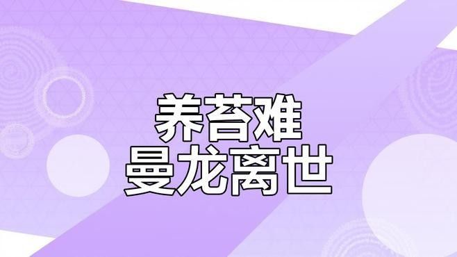 如何維持曼龍魚(yú)缸水質(zhì)穩(wěn)定：養(yǎng)苔失敗，曼龍意外去世，水質(zhì)波動(dòng)大揭秘