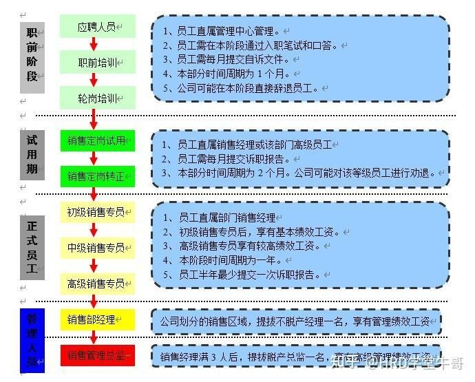 金龍魚銷售崗位的晉升速度如何：金龍魚銷售崗位晉升速度