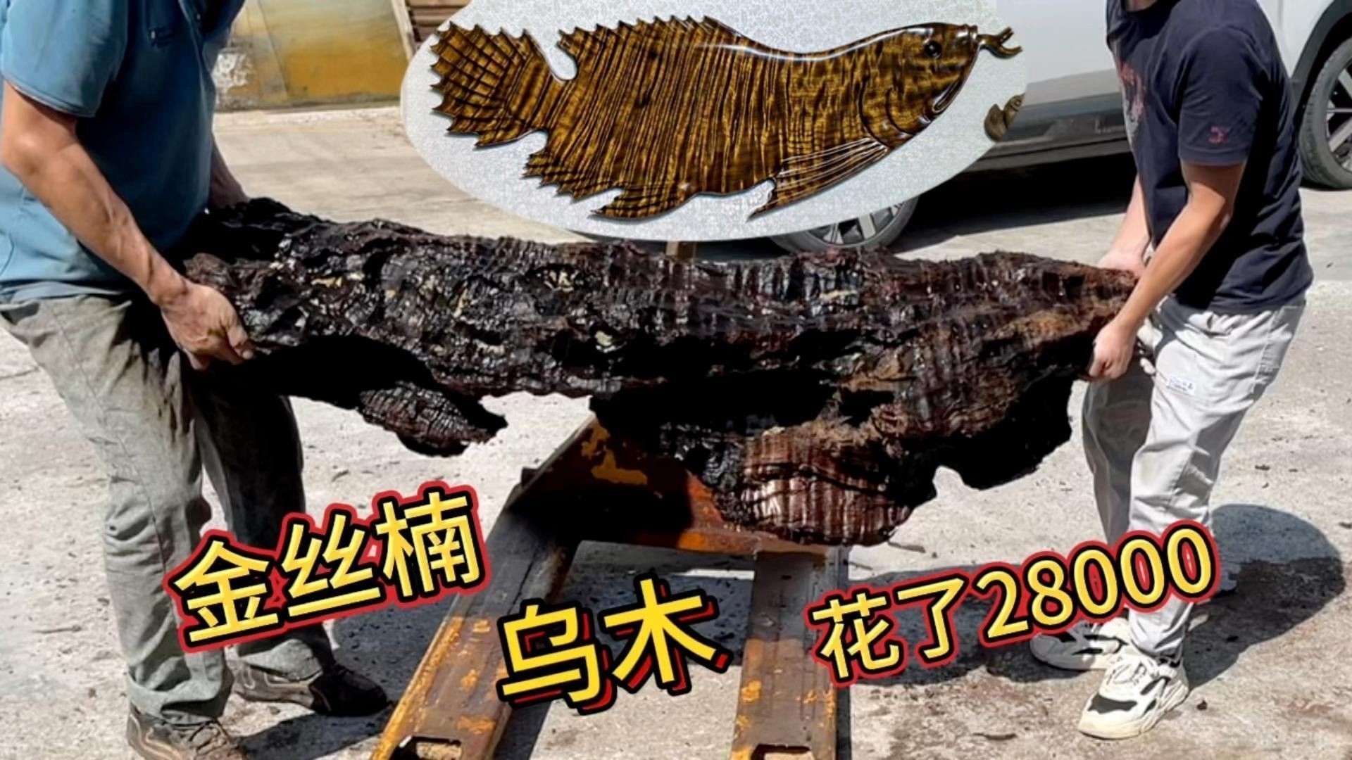 金龍魚擺件多久清潔一次：金龍魚擺件多久清洗