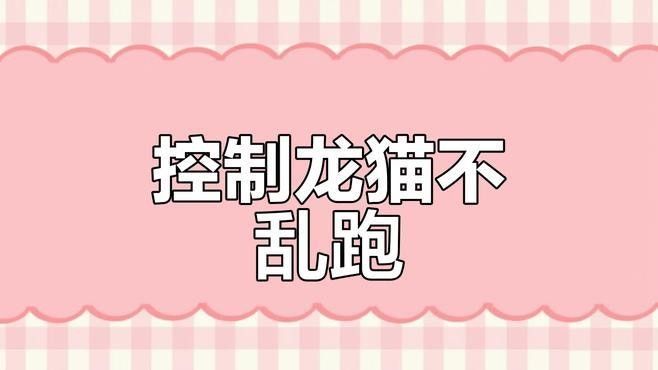 如何訓(xùn)練龍貓回到籠子里：如何訓(xùn)練龍貓回籠