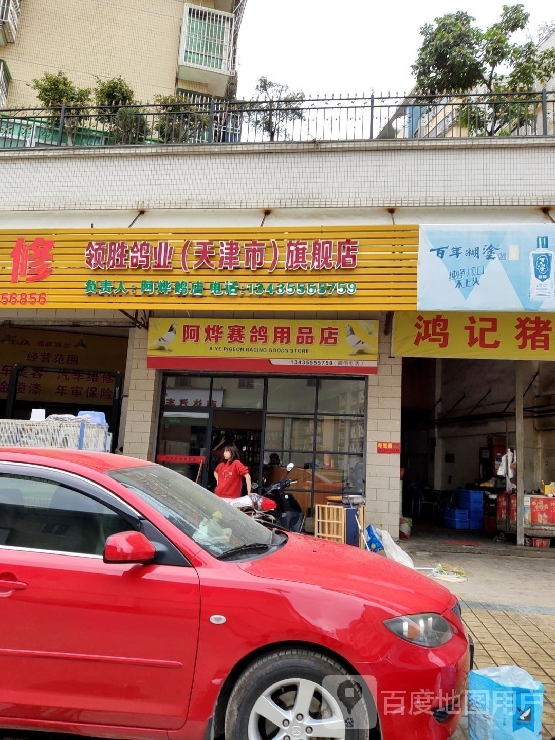 潮州金龍魚鴿業的具體地址在哪里？：潮州地區與“金龍魚”及鴿業相關具體地址信息信息