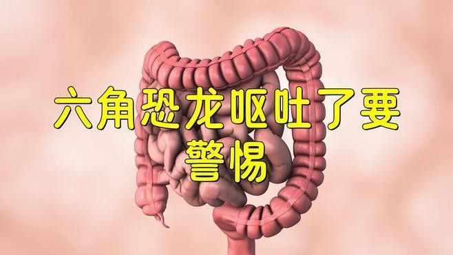 恐龍魚吃顆粒飼料會消化不良嗎：恐龍魚的飼養大揭秘，你真的會養這種史前生物嗎