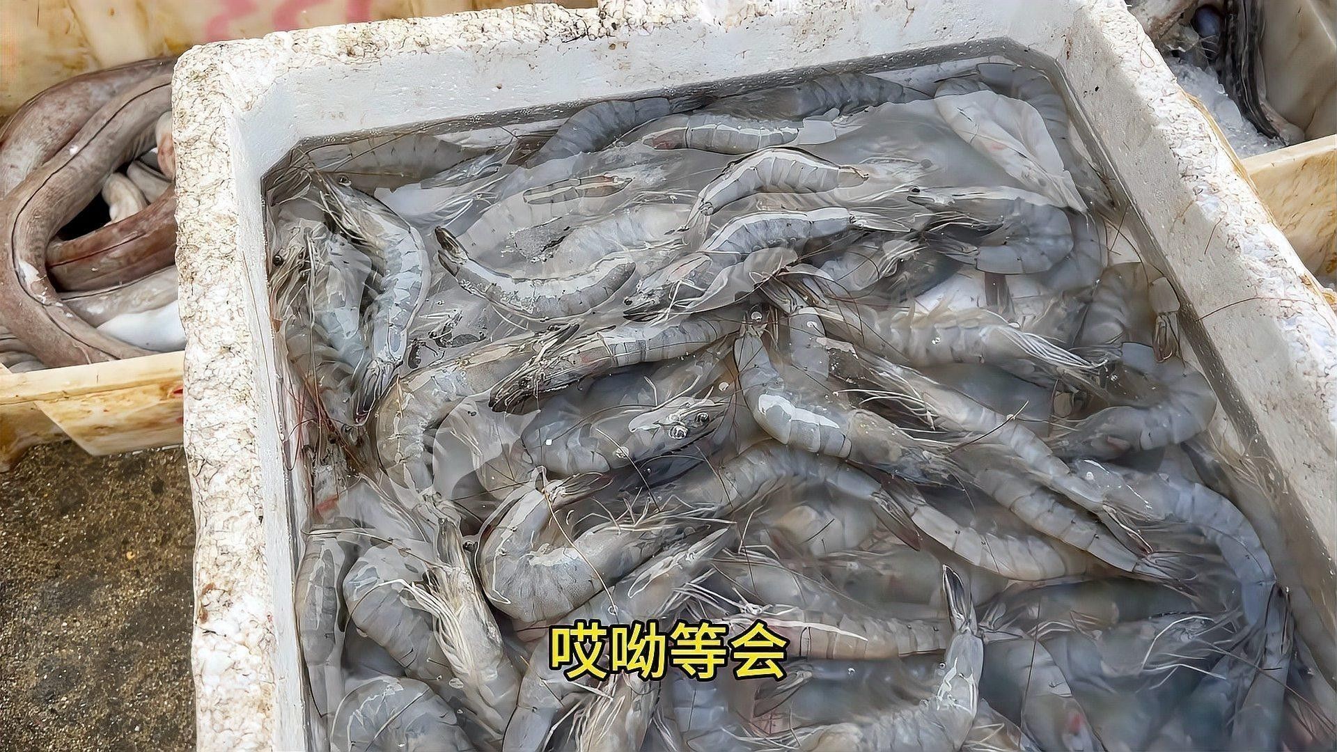 茂名還有哪些地方可以買到金龍魚：在茂名市，購買金龍魚產品的渠道主要包括以下以下地點