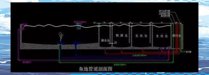 金頭過背金龍魚需要多大的過濾系統：金頭過背金龍魚作為高檔觀賞魚，對過濾系統的要求較高