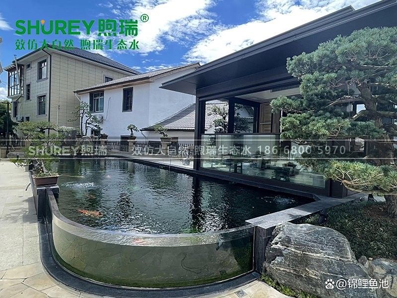 金頭過背金龍魚需要多大的過濾系統：金頭過背金龍魚作為高檔觀賞魚，對過濾系統的要求較高