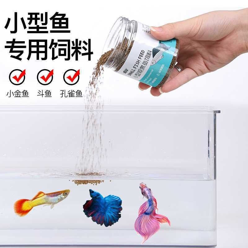 有哪些網(wǎng)站提供彩虹雷龍魚壁紙？：彩虹雷龍魚壁紙網(wǎng)站推薦：提供彩虹雷龍魚相關(guān)壁紙的網(wǎng)站