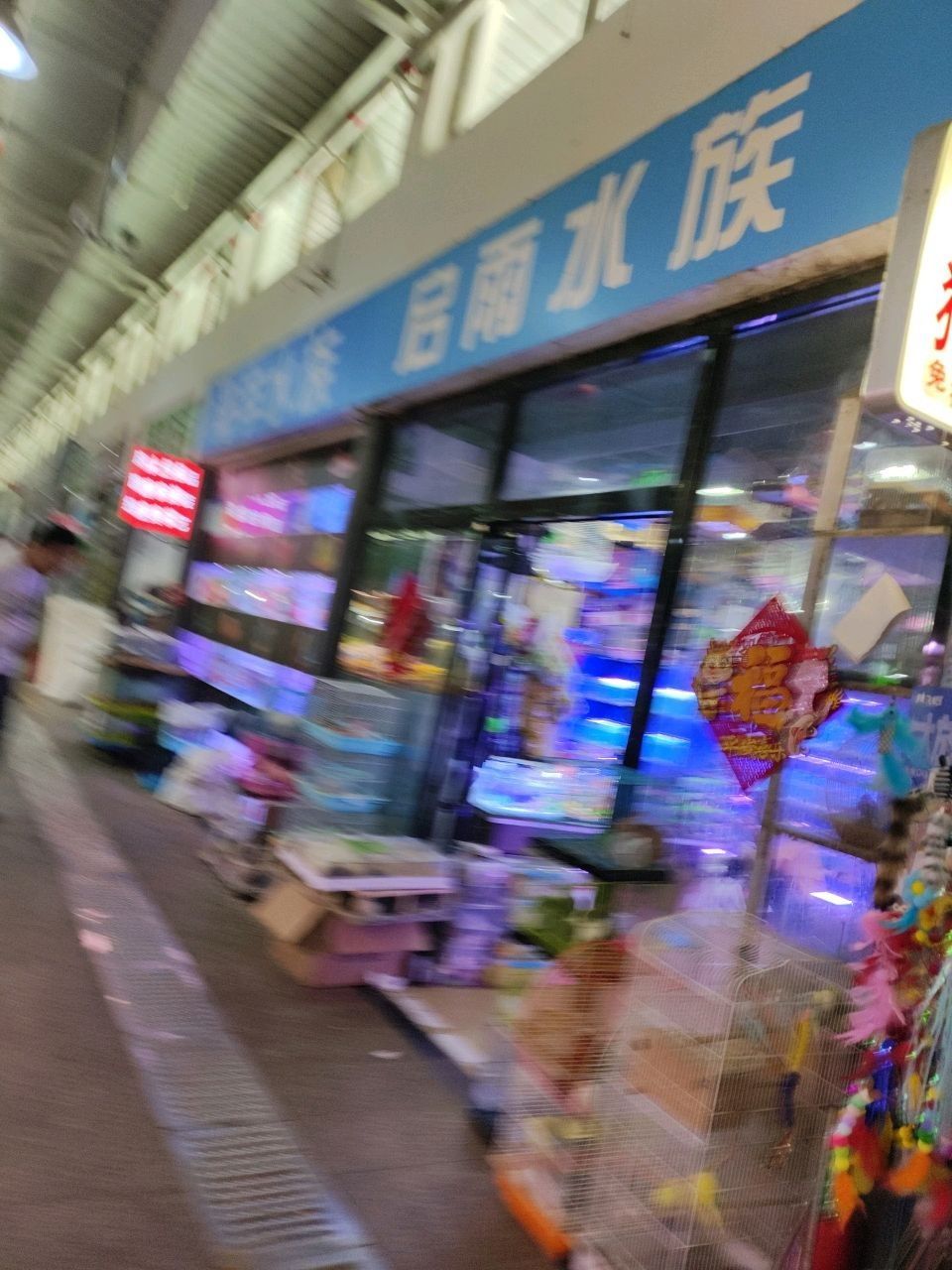 推薦幾家信譽好的龍魚魚苗批發(fā)商：北京地區(qū)信譽較好的龍魚魚苗批發(fā)商推薦
