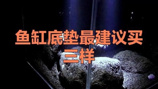 龍魚(yú)魚(yú)缸背景布有哪些材質(zhì)：龍魚(yú)背景布的常見(jiàn)材質(zhì)及特點(diǎn)