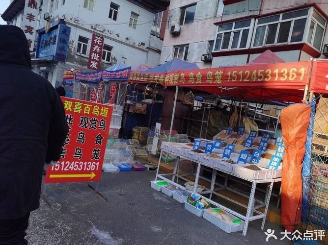 道外區(qū)哪家龍魚店口碑最好：哈爾濱道外區(qū)與龍魚相關(guān)的店鋪中，紅龍魚館的龍魚品種有哪些