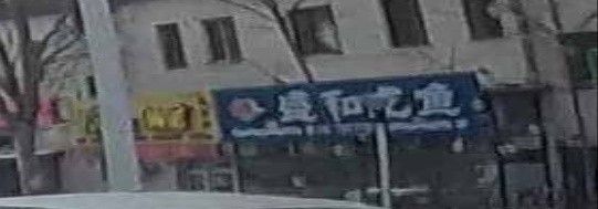 道外區(qū)哪家龍魚店口碑最好：哈爾濱道外區(qū)與龍魚相關(guān)的店鋪中，紅龍魚館的龍魚品種有哪些