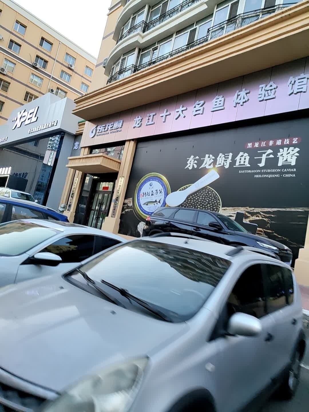 道外區(qū)哪家龍魚店口碑最好：哈爾濱道外區(qū)與龍魚相關(guān)的店鋪中，紅龍魚館的龍魚品種有哪些