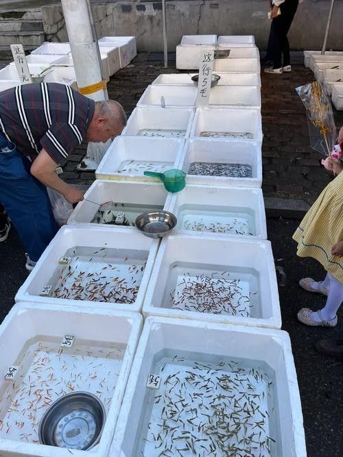 道外區(qū)哪家龍魚店口碑最好：哈爾濱道外區(qū)與龍魚相關(guān)的店鋪中，紅龍魚館的龍魚品種有哪些