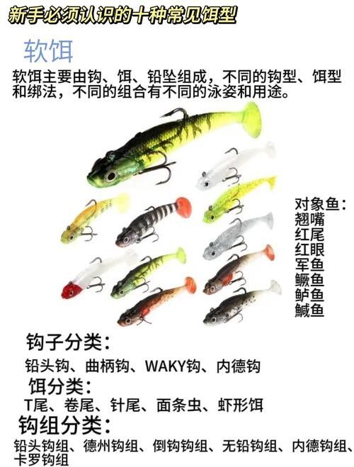 龍魚吃什么活餌比較好？：龍魚作為肉食性觀賞魚活餌是其天然飲食的重要組成部分
