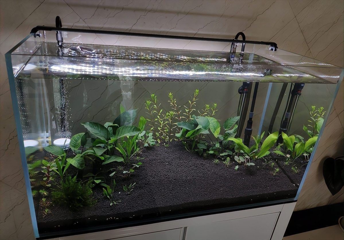 龍魚缸背后可以靠墻嗎：大型魚缸背后靠墻擺放在沙發背后靠墻擺放的原則是多少