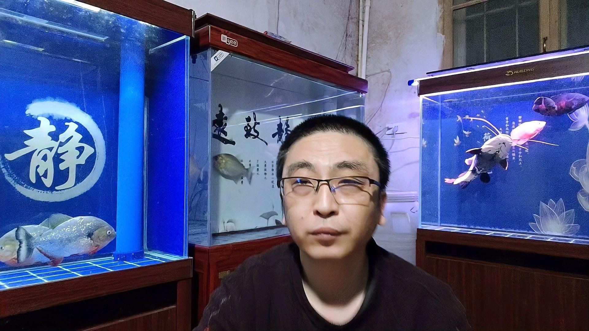 如何保持魚缸水質穩定？：保持魚缸水質清澈的秘訣