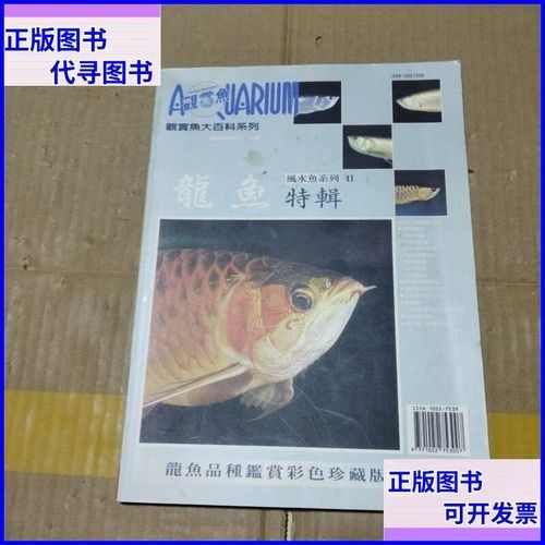 給我一張龍魚的照片：龍魚作為觀賞魚中的貴族，其絢麗色彩和獨特形態極具觀賞價值