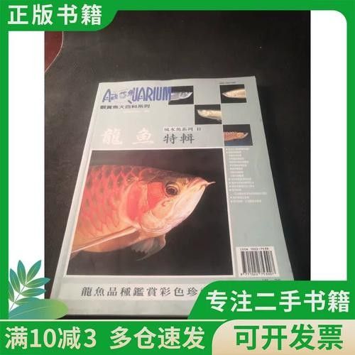 給我一張龍魚的照片：龍魚作為觀賞魚中的貴族，其絢麗色彩和獨特形態極具觀賞價值