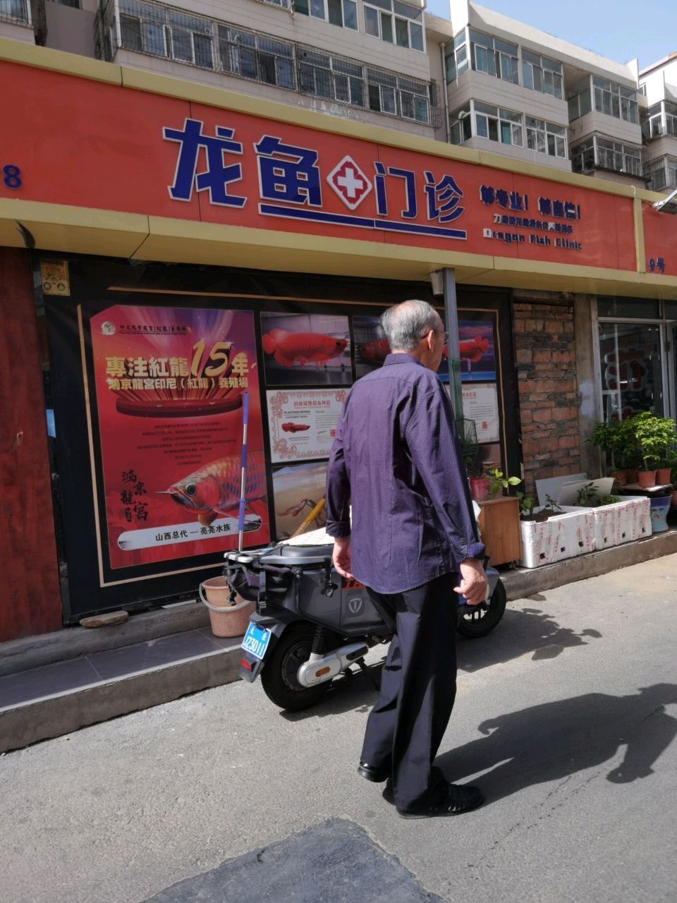 如何在太原找到可靠的龍魚賣家：在太原尋找可靠的龍魚賣家