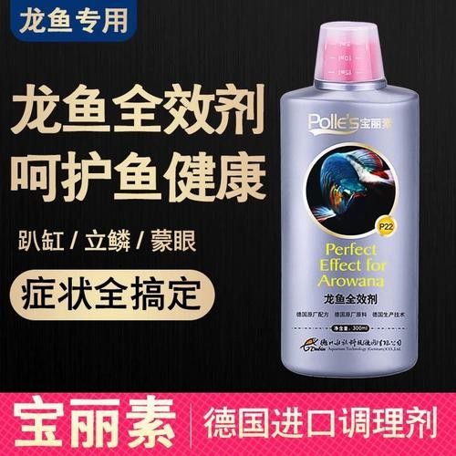 龍貓在玄學中的寓意，龍貓在玄學中的歷史淵源
