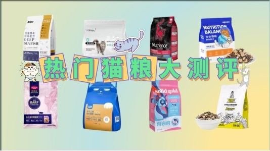 哪種貓糧性價比最高？：2025年最新貓糧測評數據，性價比高的貓糧大測評