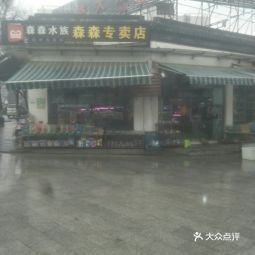 如何聯系森森水族客服？：森森hsd魚缸怎么選