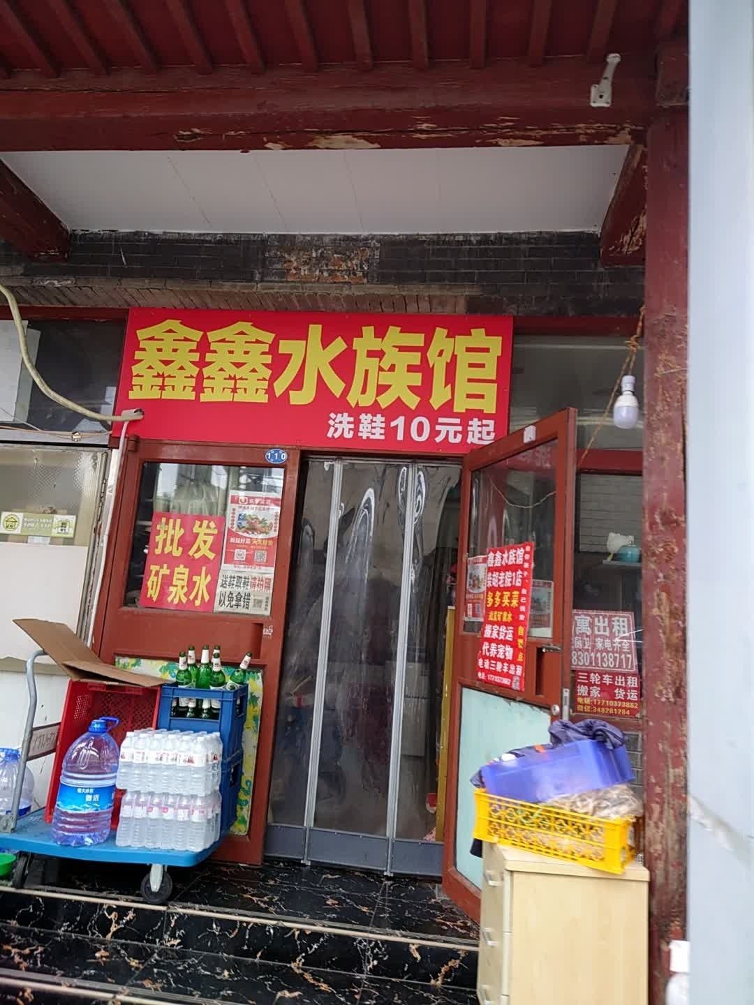 翠巒哪個水族館龍魚好？祥龍魚場龍魚：北京市內多家水族館提供龍魚銷售及服務