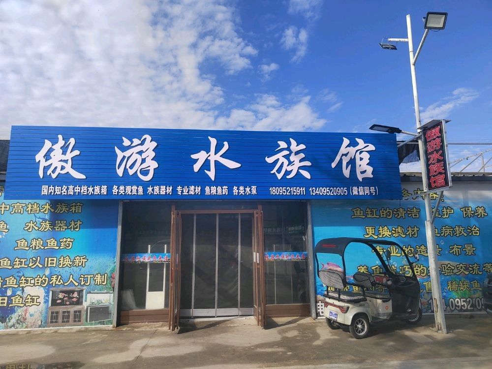 石嘴山哪個水族館龍魚好？祥龍魚場龍魚：石嘴山市水族館中提供龍魚相關服務或產品可供參考
