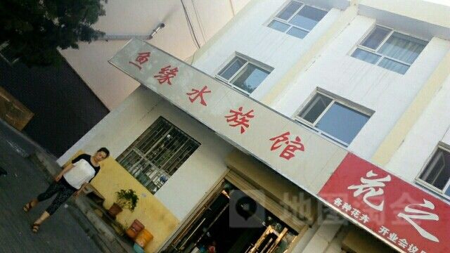 石嘴山哪個水族館龍魚好？祥龍魚場龍魚：石嘴山市水族館中提供龍魚相關服務或產品可供參考