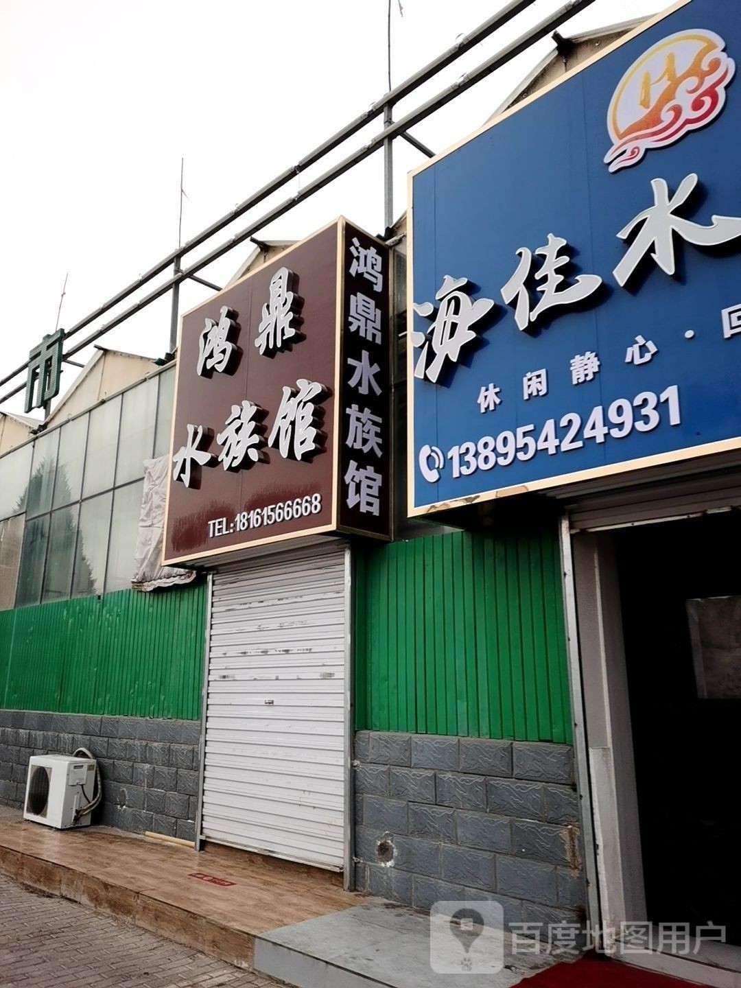 石嘴山哪個水族館龍魚好？祥龍魚場龍魚：石嘴山市水族館中提供龍魚相關服務或產品可供參考