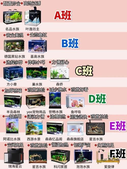 給我推薦一些專業的魚缸設計軟件：專業的魚缸設計軟件推薦