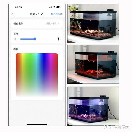 給我推薦一些專業的魚缸設計軟件：專業的魚缸設計軟件推薦