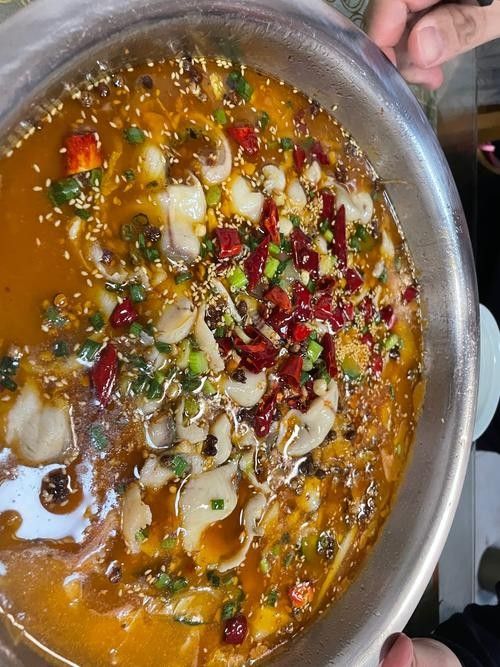 龍魚魚場的價格范圍：廣州龍魚祥龍魚場價格參考