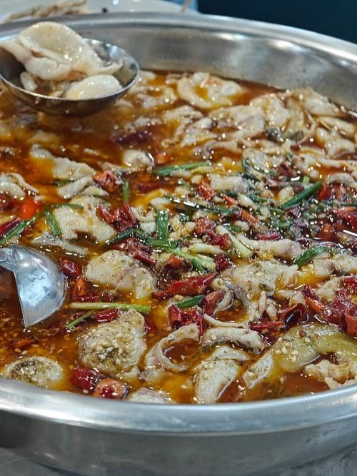 龍魚魚場的價格范圍：廣州龍魚祥龍魚場價格參考