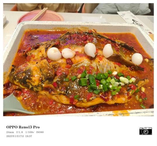 龍魚魚場的價格范圍：廣州龍魚祥龍魚場價格參考