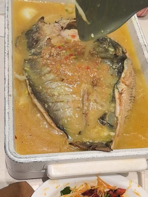 龍魚魚場的價格范圍：廣州龍魚祥龍魚場價格參考