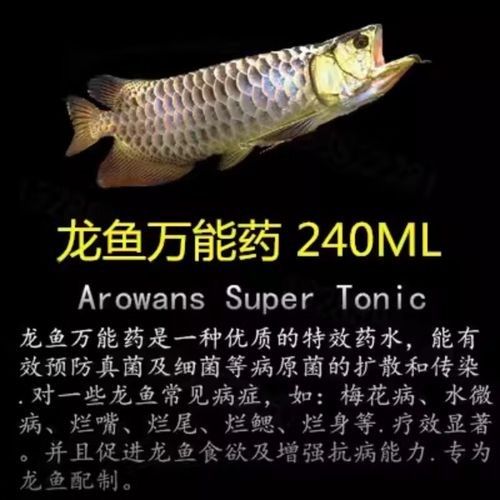 金龍魚專用水質(zhì)測試儀推薦：金龍魚專用水質(zhì)測試儀 金龍魚專用水質(zhì)測試儀推薦：金龍魚專用水質(zhì)測試儀 龍魚百科 第1張