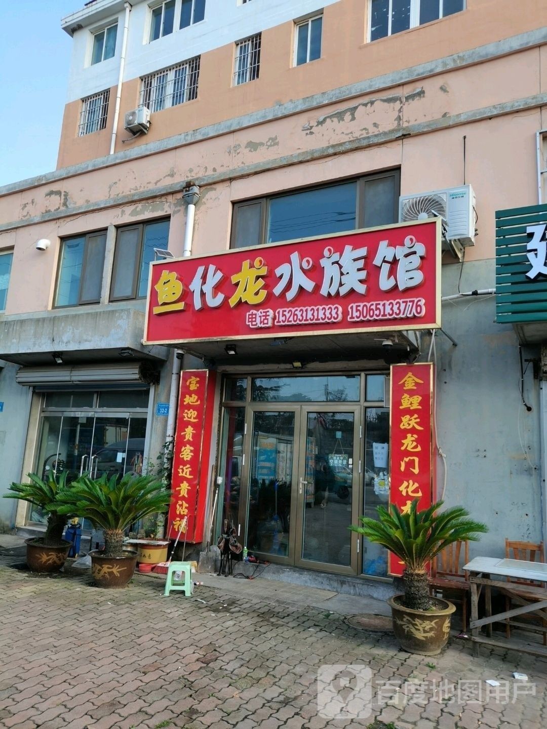 環(huán)翠哪個水族館龍魚好？祥龍魚場龍魚：廣州龍魚祥龍魚場