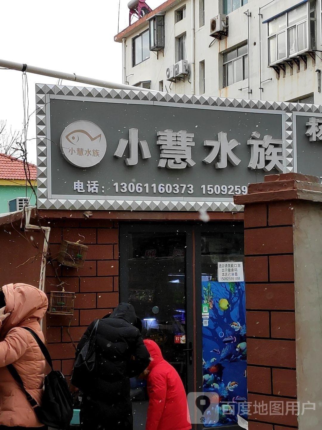環(huán)翠哪個水族館龍魚好？祥龍魚場龍魚：廣州龍魚祥龍魚場