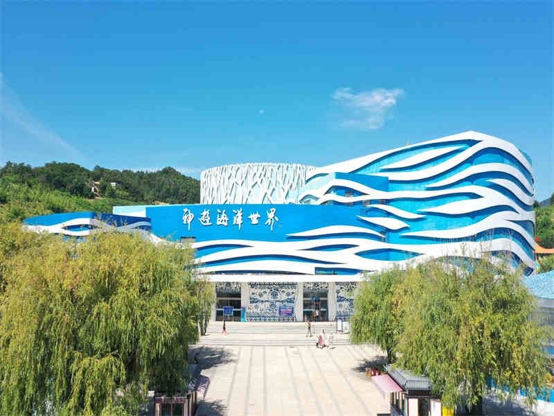 環(huán)翠哪個水族館龍魚好？祥龍魚場龍魚：廣州龍魚祥龍魚場