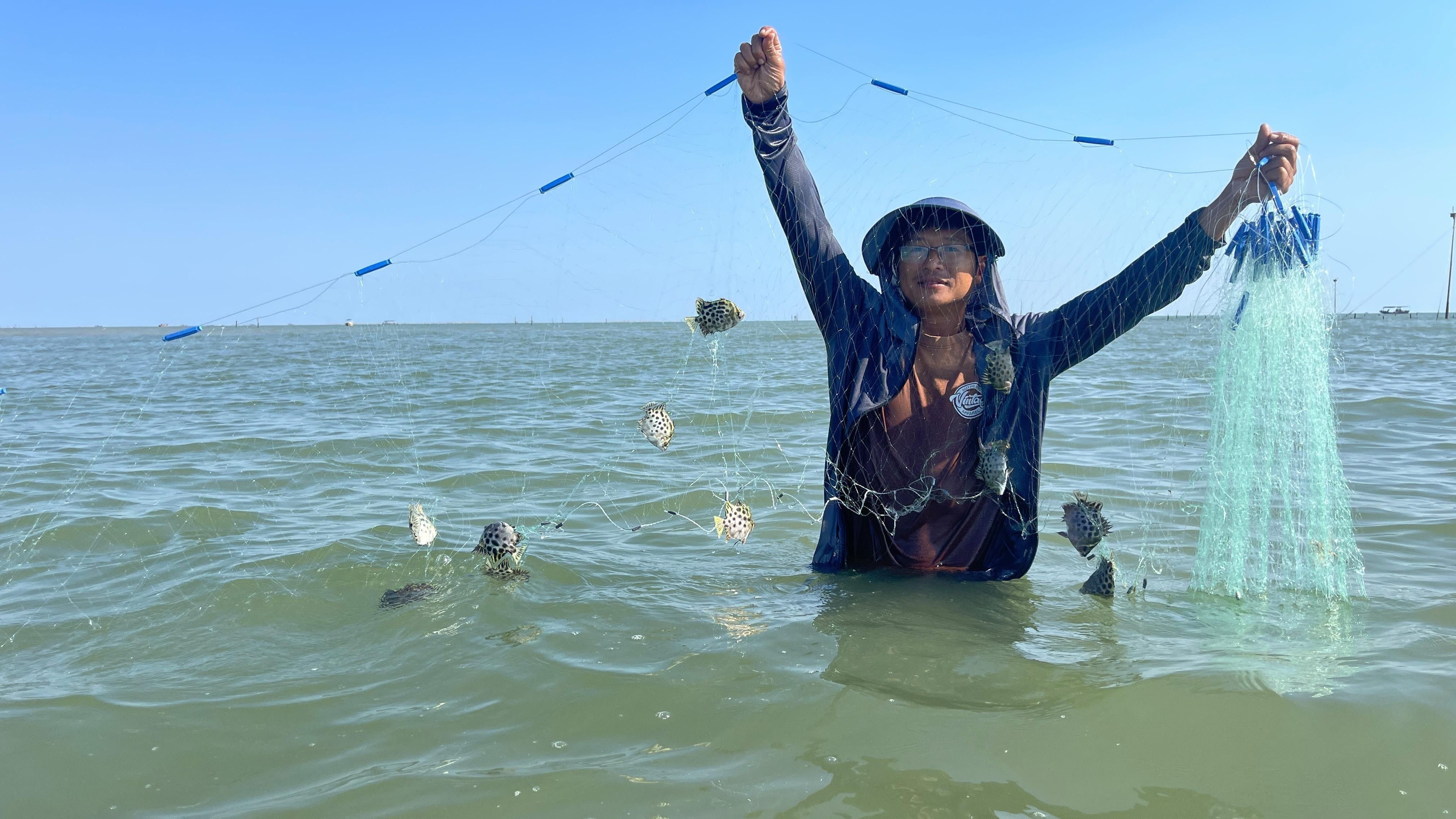 非洲金鼓魚混養(yǎng)龍魚有哪些成功案例：金鼓魚與龍魚混養(yǎng)的成功案例