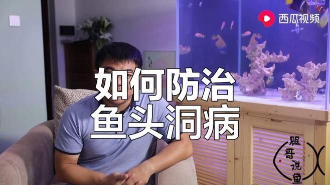 龍魚頭洞病復發率高嗎？：龍魚頭洞病復發率與治療徹底性高度相關