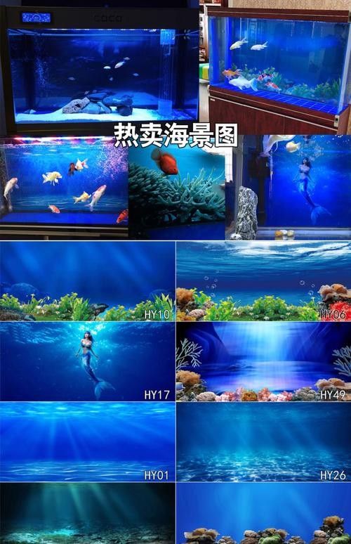 紅龍魚缸背景圖推薦：紅龍魚在透缸中展現的自然光效果尤為驚艷