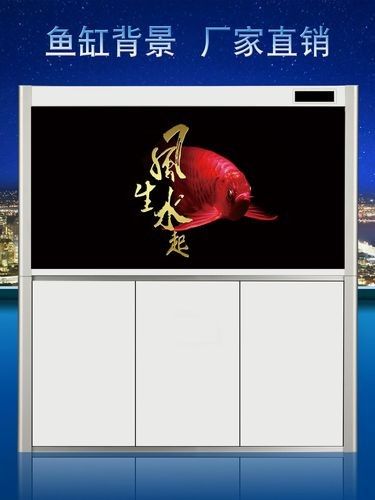 紅龍魚缸背景圖推薦：紅龍魚在透缸中展現的自然光效果尤為驚艷