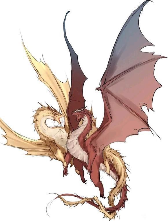 紅龍與金龍在游戲中的設定差異：《魔域手游》2024龍年獸曝光3大亮點值得關注