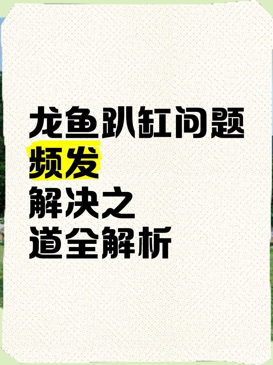 龍魚趴缸多久會恢復：龍魚趴缸多久能恢復快樂生活