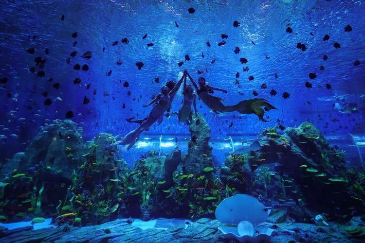 花地灣龍虎匯水族館的營業時間是？：廣州花地灣龍虎匯水族館門票多少錢
